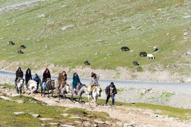 Himachal Pradesh, Hindistan - Turistler Manali, Himachal Pradesh, Hindistan 'da Rohtang La' da (Rohtang Geçidi) at sürmekten keyif alıyorlar.