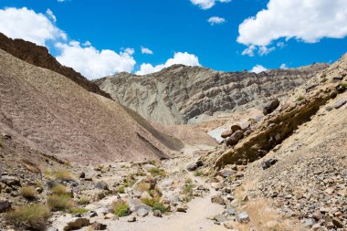 Ladakh, Hindistan - Likir ve Yangtang arasında Sham Valley, Ladakh, Jammu ve Kashmir, Hindistan 'dan güzel manzara.