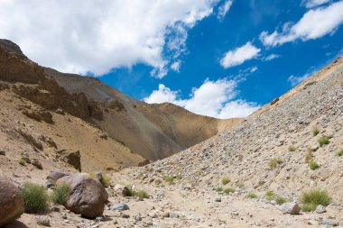 Ladakh, Hindistan - Likir ve Yangtang arasında Sham Valley, Ladakh, Jammu ve Kashmir, Hindistan 'dan güzel manzara.