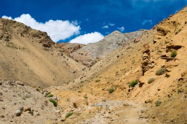 Ladakh, Hindistan - Likir ve Yangtang arasında Sham Valley, Ladakh, Jammu ve Kashmir, Hindistan 'dan güzel manzara.