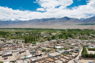 Ladakh, Hindistan - Choglamsar Palri Manastırı 'nın Choglamsar, Ladakh, Jammu ve Keşmir manzarası, Hindistan.