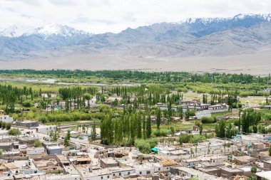 Ladakh, Hindistan - Choglamsar Palri Manastırı 'nın Choglamsar, Ladakh, Jammu ve Keşmir manzarası, Hindistan.