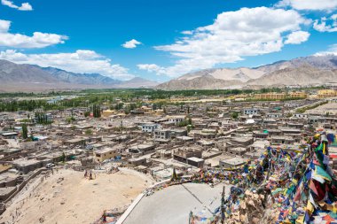 Ladakh, Hindistan - Choglamsar Palri Manastırı 'nın Choglamsar, Ladakh, Jammu ve Keşmir manzarası, Hindistan.