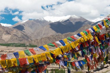 Ladakh, Hindistan - Choglamsar, Ladakh, Jammu ve Kashmir 'deki Zangdok Palri Manastırı' ndan güzel manzara.