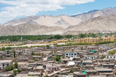 Ladakh, Hindistan - Choglamsar Palri Manastırı 'nın Choglamsar, Ladakh, Jammu ve Keşmir manzarası, Hindistan.