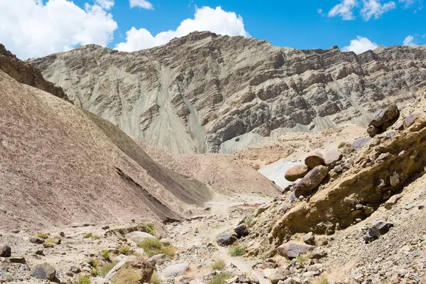 Ladakh Indie Piękny Widok Pomiędzy Likir Yangtang Sham Valley Ladakh — Zdjęcie stockowe