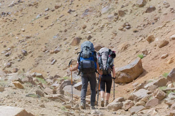 Ladakh, Hindistan - Şam Vadisi, Ladakh, Jammu ve Kaşmir, Hindistan 'da Likir ve Yangtang Arasında Trekker.