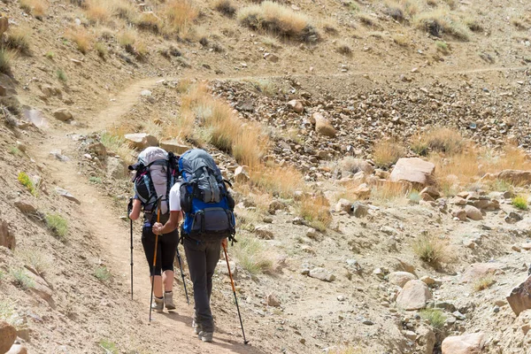Ladakh, Hindistan - Şam Vadisi, Ladakh, Jammu ve Kaşmir, Hindistan 'da Likir ve Yangtang Arasında Trekker.