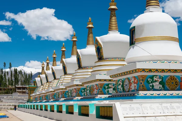 Ладакх Индия Тибетская Ступа Дворце Далай Ламы Jivetsal His Holiness — стоковое фото