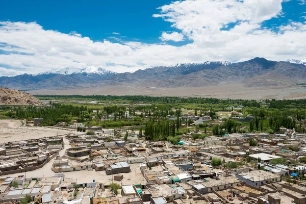 Ladakh India Choglamsar Uitzicht Stad Vanaf Het Zangdok Palri Klooster — Stockfoto