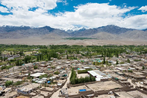 Ladakh, Hindistan - Choglamsar Palri Manastırı 'nın Choglamsar, Ladakh, Jammu ve Keşmir manzarası, Hindistan.