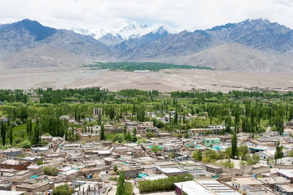 Ladakh India Choglamsar Uitzicht Stad Vanaf Het Zangdok Palri Klooster — Stockfoto