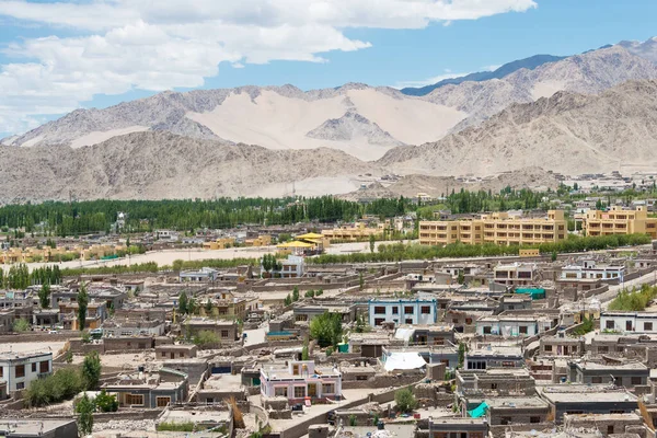 Ladakh India Choglamsar Town View Zangdok Palri Monastery Choglamsar Ladakh — Stock Photo, Image