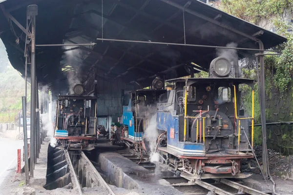 Darjeeling, Hindistan - Darjeeling Himalaya Demiryolu Darjeeling Tren İstasyonu, Batı Bengal, Hindistan. Hindistan 'ın Dağ Demiryolları Dünya Mirası Bölgesi' nin bir parçasıdır..
