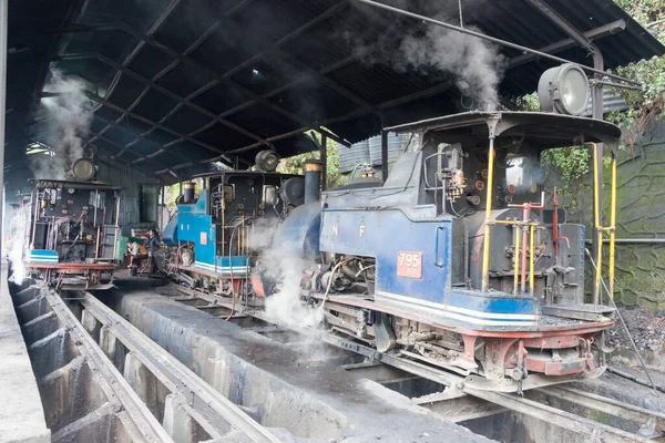 Darjeeling, Hindistan - Darjeeling Himalaya Demiryolu Darjeeling Tren İstasyonu, Batı Bengal, Hindistan. Hindistan 'ın Dağ Demiryolları Dünya Mirası Bölgesi' nin bir parçasıdır..