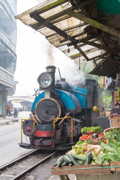 Darjeeling Indie Darjeeling Himalájská Železnice Blízkosti Vlakového Nádraží Ghum Darjeeling — Stock fotografie