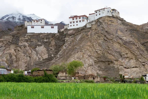 Ladakh Inde Monastère Nyoma Nyoma Gompa Nyoma Ladakh Jammu Cachemire — Photo