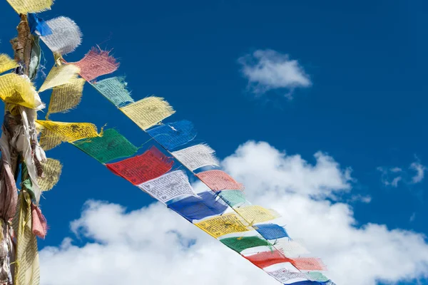 Ladakh India Tibetan Prayer Flag Sermangchan Pass Tsermangchan Pass 3897M — 图库照片