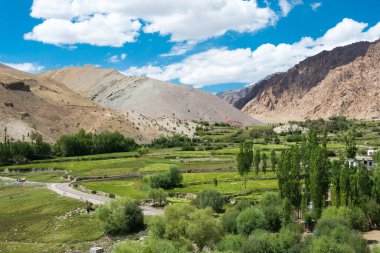 Ladakh, Hindistan - Sham Valley 'deki Hemis Shukpachan Köyü, Ladakh, Jammu ve Kashmir, Hindistan.