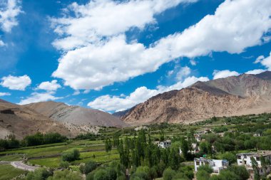 Ladakh, Hindistan - Sham Valley 'deki Hemis Shukpachan Köyü, Ladakh, Jammu ve Kashmir, Hindistan.