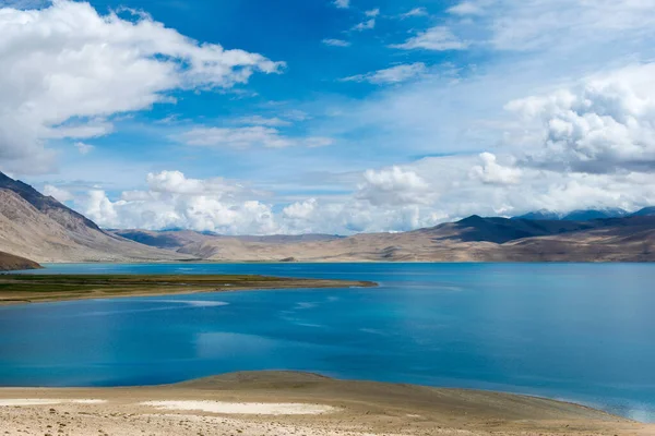 Ladakh India Lago Tso Moriri Changthang Plateau Ladakh Jammu Cachemira —  Fotos de Stock