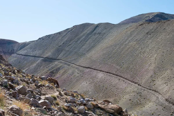 Ladakh, Hindistan - Hindistan 'ın Sham Vadisi, Ladakh, Jammu ve Kashmir, Hindistan' da Hemis Shukpachan ve Tingmosgang (Temisgam) arasında güzel manzara.