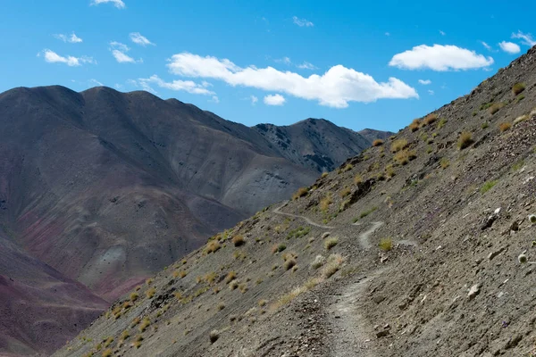 Ladakh, Hindistan - Hindistan 'ın Sham Vadisi, Ladakh, Jammu ve Kashmir, Hindistan' da Hemis Shukpachan ve Tingmosgang (Temisgam) arasında güzel manzara.
