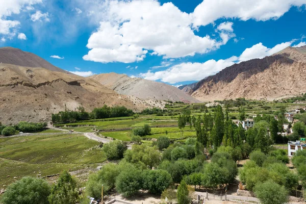 Ladakh, Hindistan - Sham Valley 'deki Hemis Shukpachan Köyü, Ladakh, Jammu ve Kashmir, Hindistan.