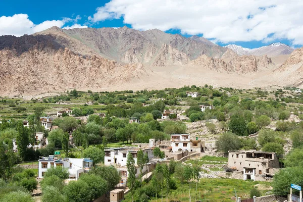 Ladakh Indie Hemis Shukpachan Village Sham Valley Ladakh Jammu Kaszmir — Zdjęcie stockowe