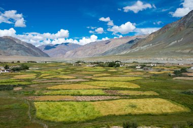 Zanskar, Hindistan - Zanskar, Ladakh, Jammu ve Kashmir, Hindistan 'da Karsha ve Padum Arasından güzel manzara.