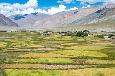 Zanskar, Hindistan - Zanskar, Ladakh, Jammu ve Kashmir, Hindistan 'da Karsha ve Padum Arasından güzel manzara.