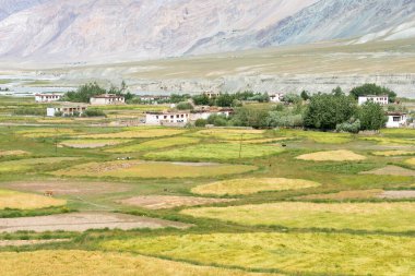 Zanskar, Hindistan - Zanskar, Ladakh, Jammu ve Kashmir, Hindistan 'da Karsha ve Padum Arasından güzel manzara.