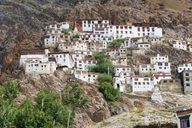 Zanskar, Hindistan - Zanskar, Ladakh, Jammu ve Kashmir 'deki Kursha Manastırı (Karsha Gompa).