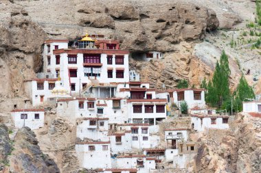 Ladakh, Hindistan - Skurbuchan 'daki Skurbuchan Manastırı, Ladakh, Jammu ve Kashmir, Hindistan.