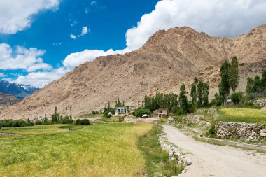 Ladakh, Hindistan - Ladakh, Jammu ve Kashmir 'deki Likir Köyü' nden güzel manzara.