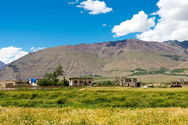 Zanskar Inde Belle Vue Panoramique Depuis Entre Karsha Padum Zanskar — Photo