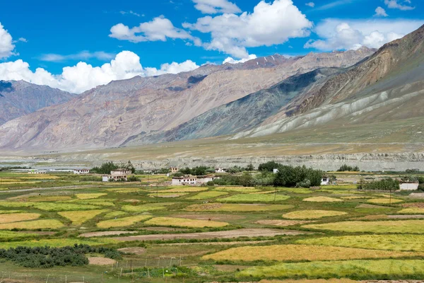 Zanskar, Hindistan - Zanskar, Ladakh, Jammu ve Kashmir, Hindistan 'da Karsha ve Padum Arasından güzel manzara.