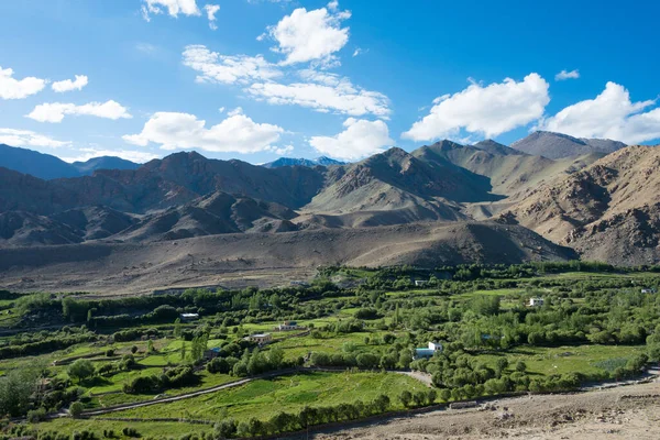 Ladak Indie Krásný Malebný Pohled Mezi Khardung Pass 5359M Leh — Stock fotografie