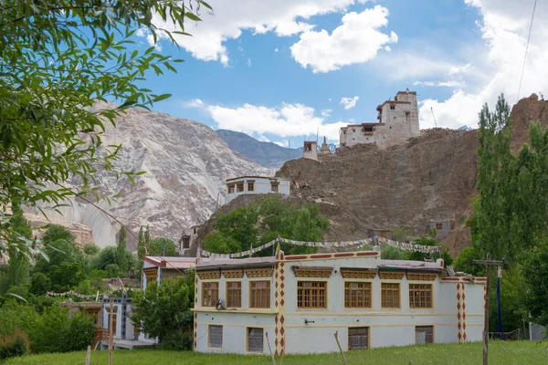 Ladakh, Hindistan - Ladakh, Jammu ve Kashmir 'deki Skurbuchan köyünden güzel manzara.