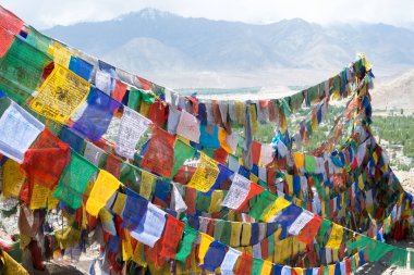 Ladakh, Hindistan - Hindistan 'da Namgyal Tsemo Manastırı' nda (Namgyal Tsemo Gompa) Tibet dua bayrağı.
