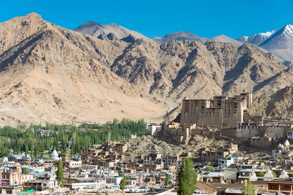 Ladakh Inde Leh Palace Leh Ladakh Jammu Cachemire Inde Palais — Photo