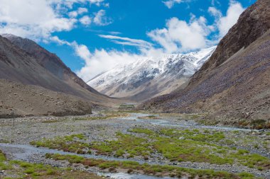 Ladakh, Hindistan - Ladakh, Jammu ve Kashmir 'de Pangong Tso ve Chang La Pass arasında güzel manzara.