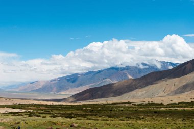 Ladakh, Hindistan - Ladakh, Jammu ve Kashmir, Hindistan 'da Nyoma ve Tsaga La Pass arasında güzel manzara.