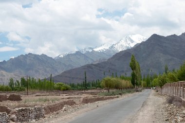 Ladakh, Hindistan - Ladakh, Jammu ve Kashmir 'deki Matho Köyü ile Shey Köyü arasında güzel manzara.