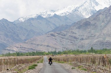 Ladakh, Hindistan - Ladakh, Jammu ve Kashmir 'deki Matho Köyü ile Shey Köyü arasında güzel manzara.