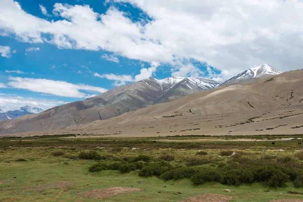 Ladakh India Hermosa Vista Panorámica Desde Entre Nyoma Tsaga Pass — Foto de Stock