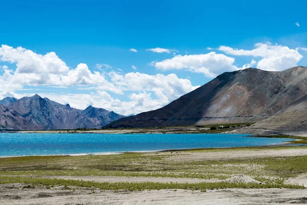 Ladakh India Vista Del Lago Pangong Desde Entre Spangmik Maan — Foto de Stock
