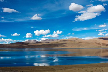 Ladakh, Hindistan - Changthang Platosu 'ndaki Tso Moriri Gölü, Ladakh, Jammu ve Kashmir, Hindistan. Ramsar Sözleşmesi 'nin bir parçası, Tsomoriri..