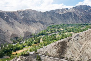 Ladakh, Hindistan - Hindistan 'ın Sham Vadisi, Ladakh, Jammu ve Kaşmir kentindeki Tingmosgang Köyü' nden (Temisgam Köyü) güzel manzara.