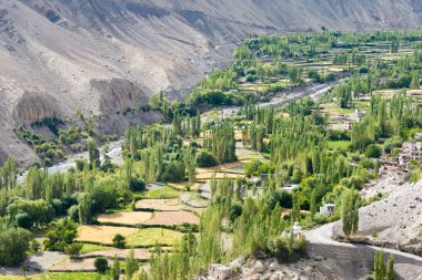 Ladakh, Hindistan - Hindistan 'ın Sham Vadisi, Ladakh, Jammu ve Kaşmir kentindeki Tingmosgang Köyü' nden (Temisgam Köyü) güzel manzara.